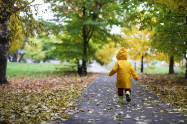 Çocuk sonbahar Parkta yürümek