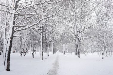 Karla kaplı Kış park ve banklar. Park ve beslenme için pier