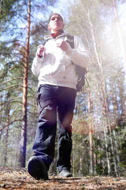 Bir turist bir çam ormanı ile bir sırt çantası içinde bir adamdır. A tr hiking
