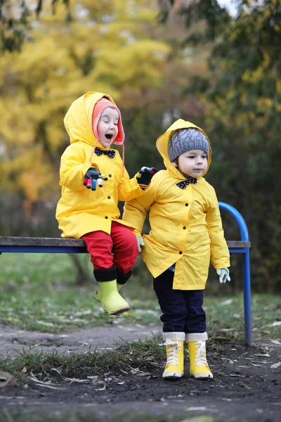 Kinderen in het park herfstwandeling — Stockfoto