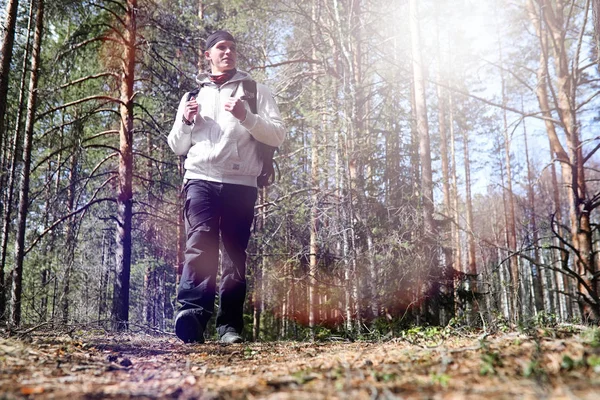 A man is a tourist in a pine forest with a backpack. A hiking tr — Stock Photo, Image