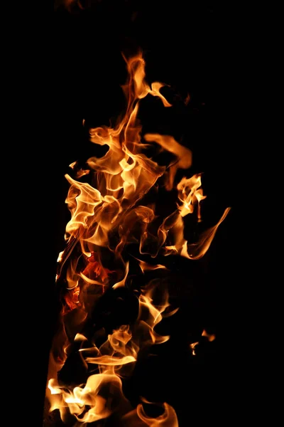 Langues de flamme de feu de couleur orange-jaune de sapin brûlant — Photo
