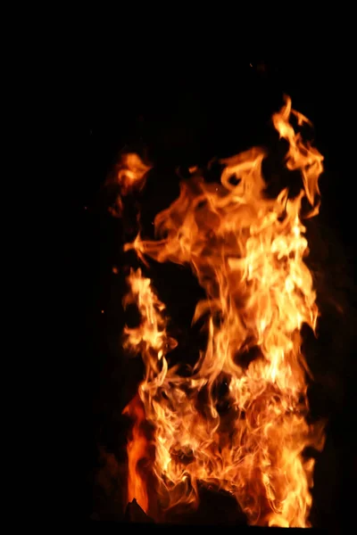 Línguas de chama de fogo de cor amarelo-alaranjada de abeto ardente — Fotografia de Stock