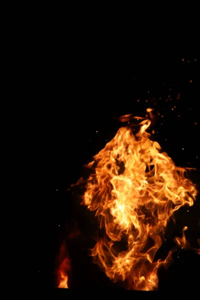 Tungor av eld av avfyrar av orange-gul färg från brinnande fir — Stockfoto