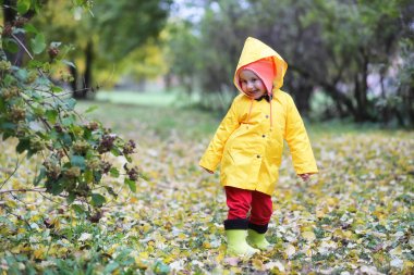 Çocuk sonbahar Parkta yürümek