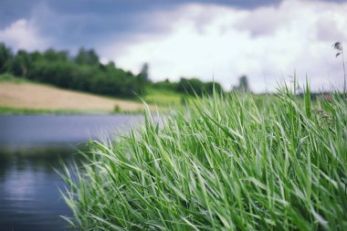 Göl manzara. Su doku. Şafakta gölüdür. Ağız