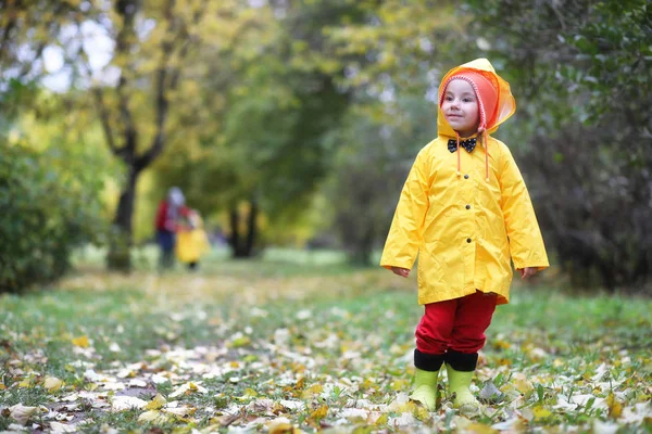 Kinderen in het park herfstwandeling — Stockfoto