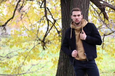 Genç adam bir sonbaharda sakal.