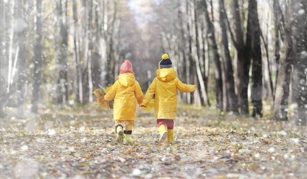 Petits enfants en promenade dans le parc d'automne. Premier gel et le premier — Photo