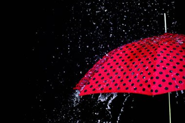 yağmur damla şemsiye izole