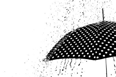 yağmur damla şemsiye izole