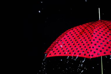 yağmur damla şemsiye izole