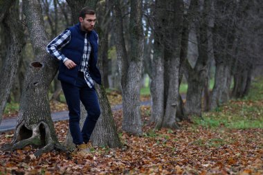 Genç adam bir sonbaharda sakal.