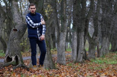 Genç adam bir sonbaharda sakal.