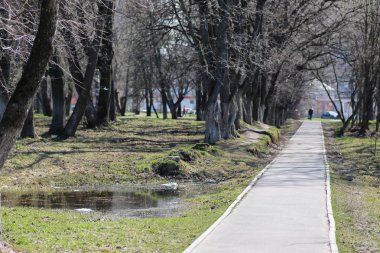 Şube çöp Park
