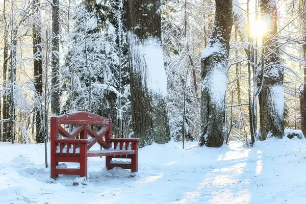 Trä bänk i vinter — Stockfoto