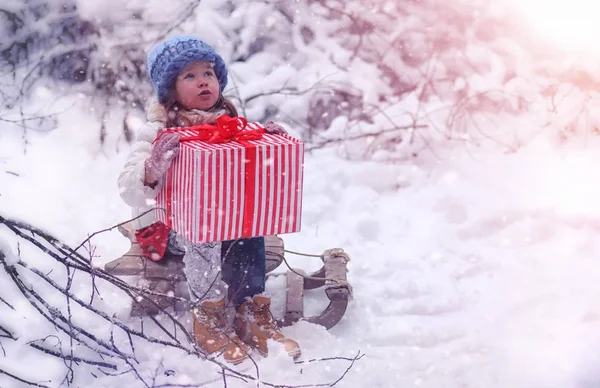 A winter fairy tale, a young mother and her daughter ride a sled