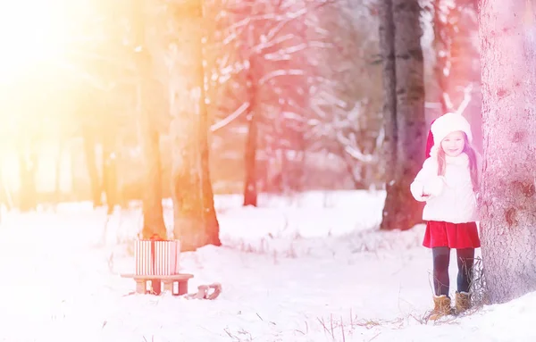 Μια ιστορία χειμερινών νεράιδων, μια νεαρή μητέρα και την κόρη της βόλτα ένα έλκηθρο — Φωτογραφία Αρχείου