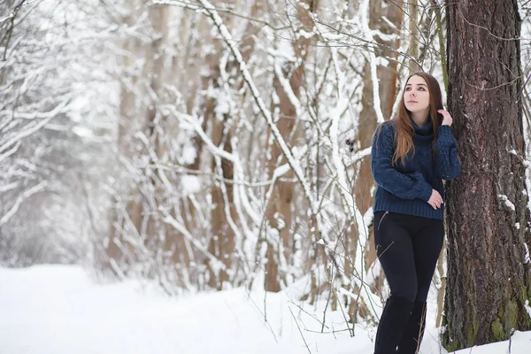 Una ragazza in un parco invernale a fare una passeggiata. Vacanze di Natale in t — Foto Stock