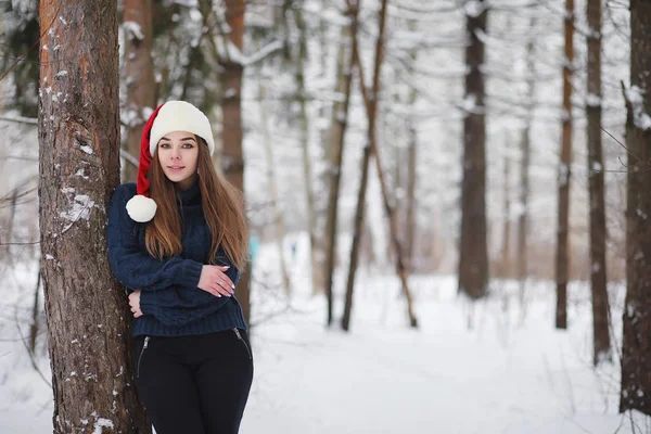 Une jeune fille dans un parc d'hiver en promenade. Vacances de Noël en t — Photo