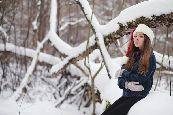 Genç bir kız bir kış parkta bir yürüyüş. Noel tatili t