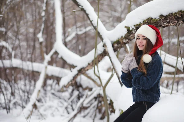 Uma menina em um parque de inverno em uma caminhada. Festas de Natal em t — Fotografia de Stock