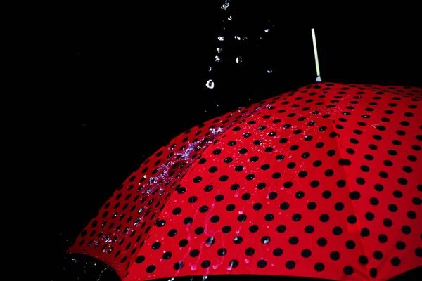 Parapluie goutte isolé — Photo