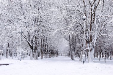 Kış karlı ilk gününde kentsel central park
