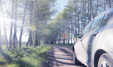 Yatay yaz mevsimindeyiz. Yeşil ağaç ve otların arasında kırsal arazi