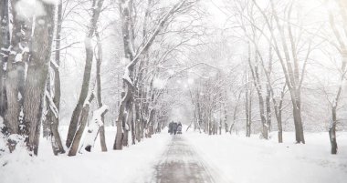 Karla kaplı Kış park ve banklar. Park ve beslenme için pier