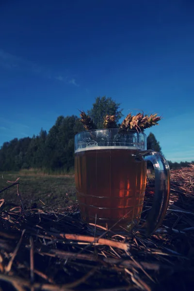 Bière dans une tasse sur une botte de foin — Photo