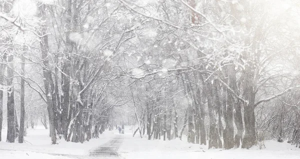 Verschneiter Winterpark und Bänke. Park und Anlegestelle zum Füttern — Stockfoto