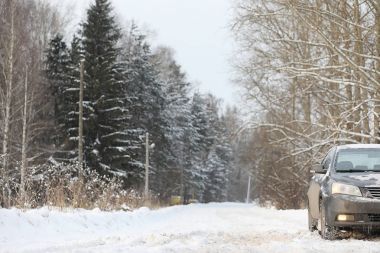 Gri ormandaki yolda arabadır. Ülke gezisi