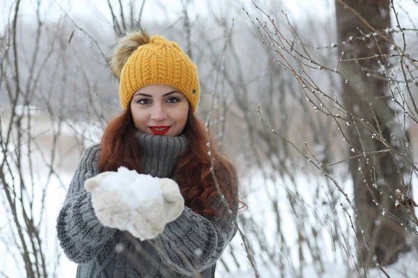 Bella ragazza in un bellissimo parco invernale — Foto Stock