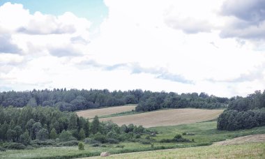 Yatay yaz mevsimindeyiz. Yeşil ağaç ve otların arasında kırsal arazi
