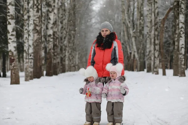 Çocuklar, kışın Parkta yürümek. Bir aile ile kış orman