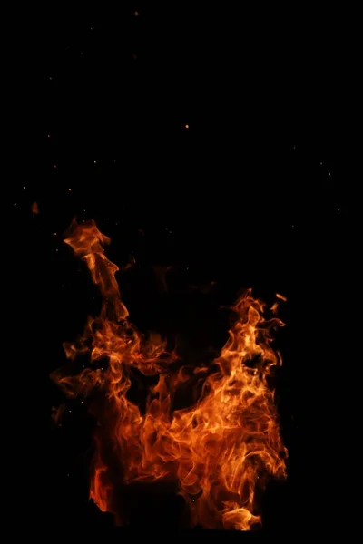 Línguas de chama de fogo de cor amarelo-alaranjada de abeto ardente — Fotografia de Stock