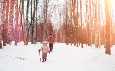 Kar altında kış parkı. Ocak sabahı yürüyüşü
