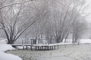 Karla kaplı Kış park ve banklar. Park ve beslenme için pier