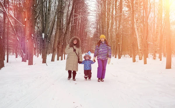 Parco invernale sotto la neve. Gennaio mattina a piedi attraverso il per — Foto Stock
