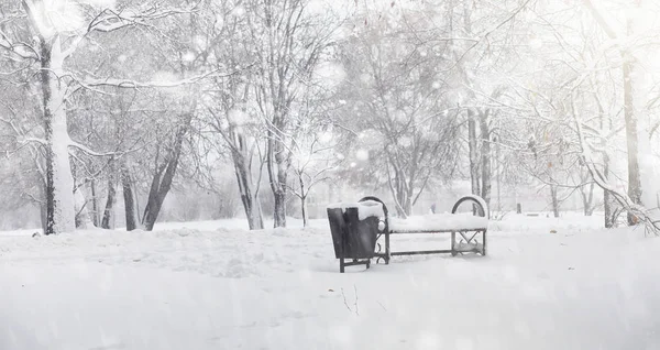 Snötäckta Vinterparken och bänkar. Park och brygga för utfodring — Stockfoto