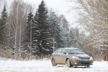 Gri ormandaki yolda arabadır. Ülke gezisi