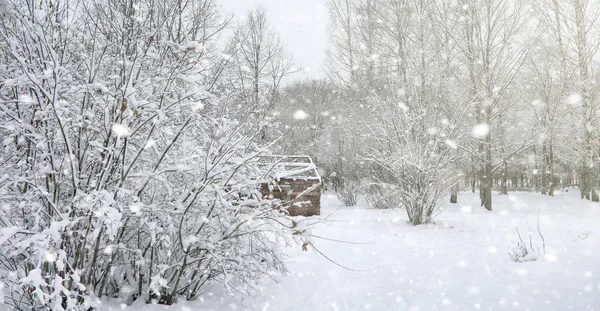 Parco invernale sotto la neve. Una tempesta di neve nel parco cittadino. Parco f — Foto Stock