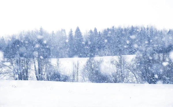 Пейзаж в зимний день — стоковое фото