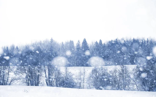 Krajobraz w zimowy dzień — Zdjęcie stockowe