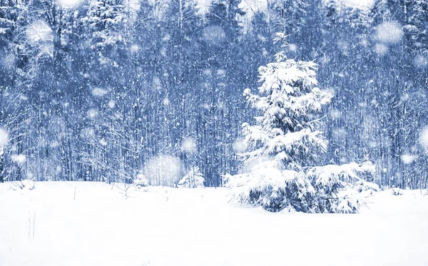 Kış günü manzara — Stok fotoğraf