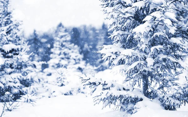 Landschap in de winterdag — Stockfoto