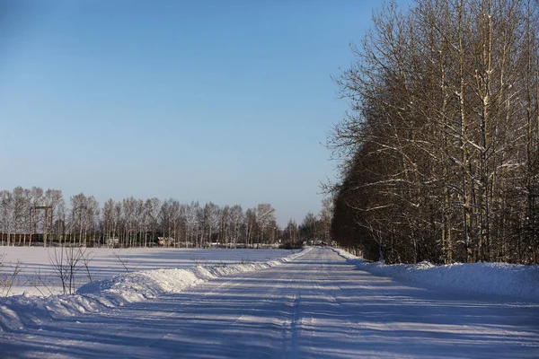 Порожня сільська дорога в лісі в зимовий день — стокове фото