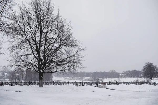 Zima krajobraz miasta. Winter park pokryte śniegiem. A Ława ONZ — Zdjęcie stockowe