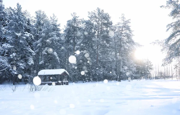 Drewniana altana w lesie w blizzard snow zima — Zdjęcie stockowe